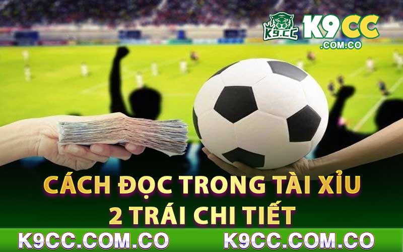 Cách Đọc Trong Tài Xỉu 2 Trái Chi Tiết