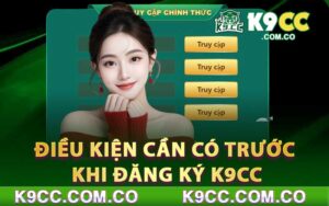 Điều kiện cần có trước khi đăng ký k9cc