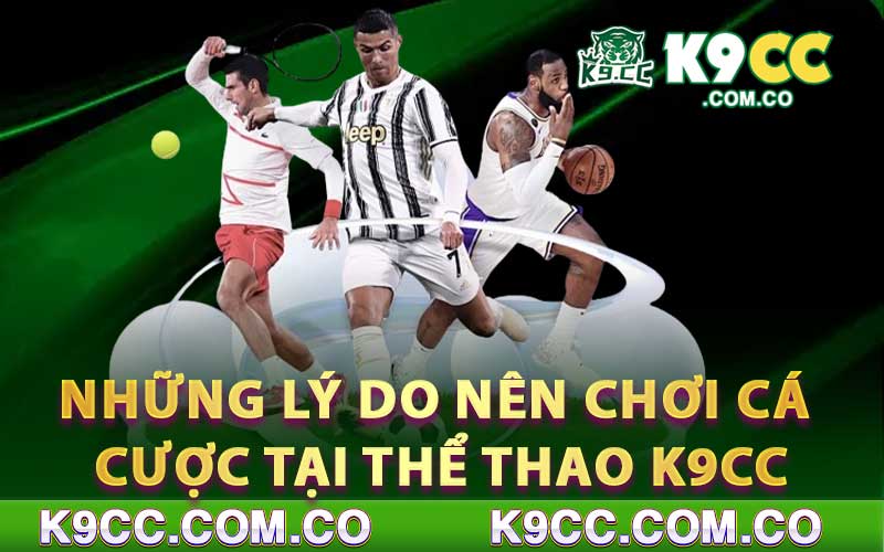 Những lý do nên chơi cá cược tại thể thao K9cc