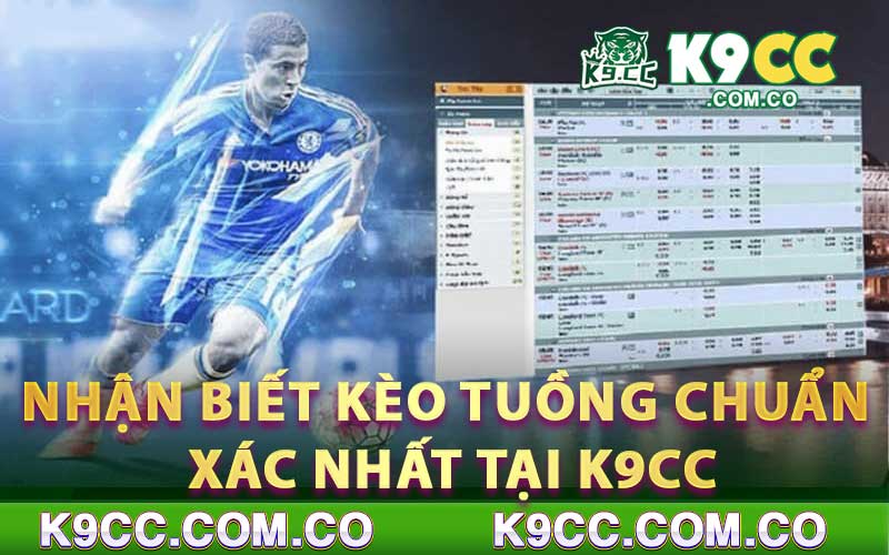 Nhận biết kèo tuồng chuẩn xác nhất tại K9cc